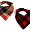 BUFFALO Dog Bandana - Thumbnail Image 2